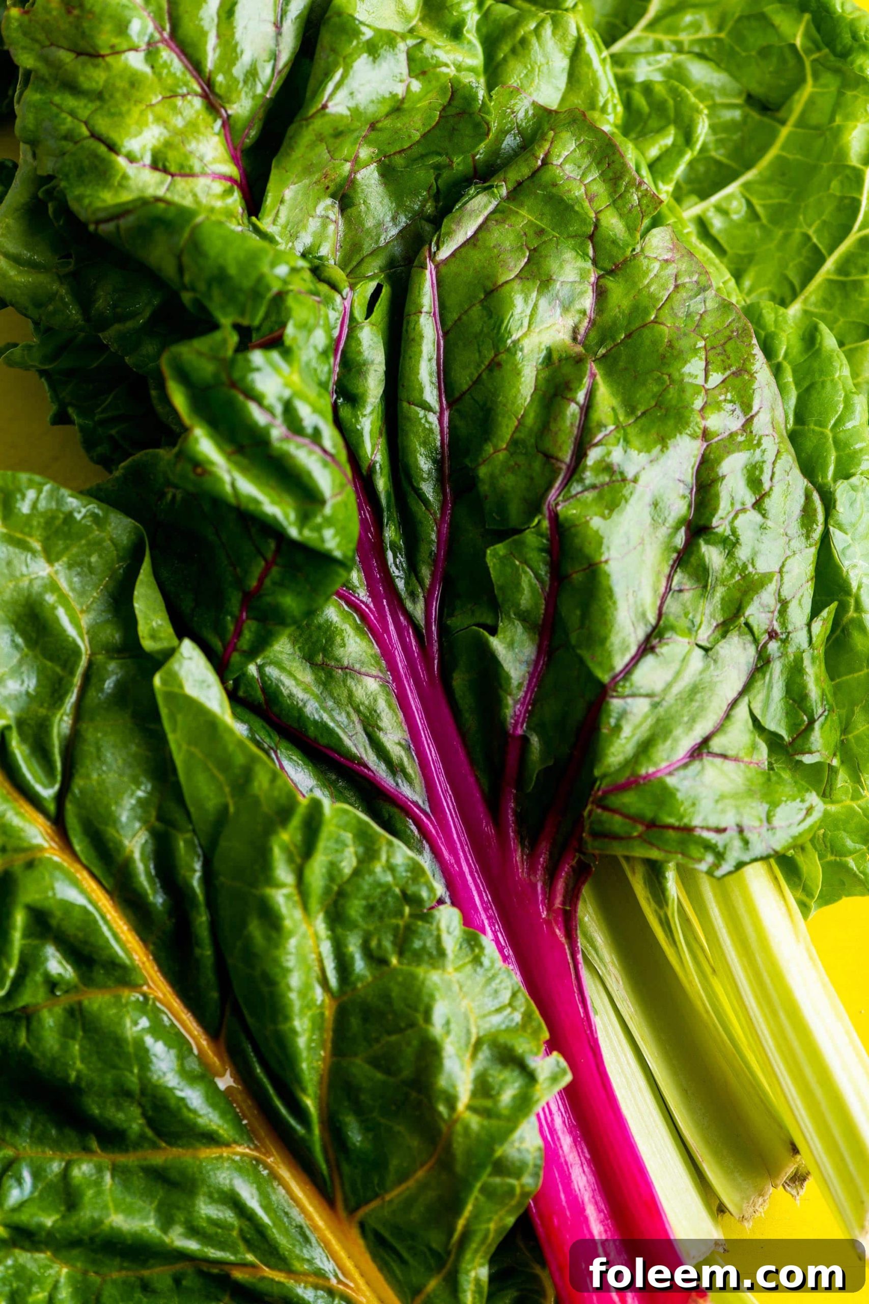 Fresh colorful Swiss chard on yellow table.