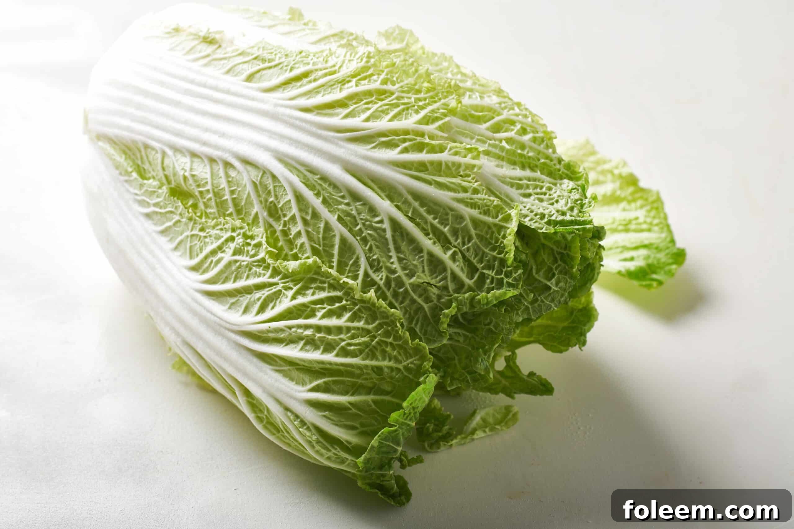 Napa cabbage on a counter.