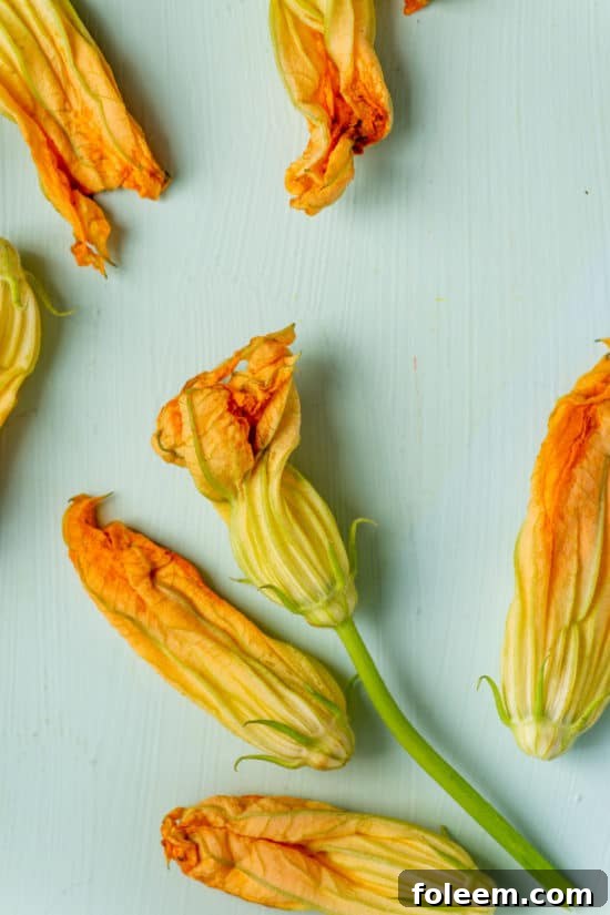 Zucchini Squash Blossoms / Katie Workman / themom100.com / Photo by Cheyenne Cohen