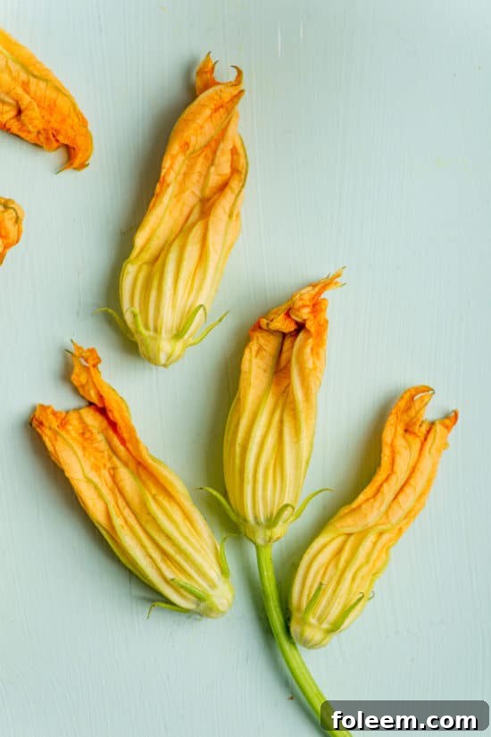 Zucchini Squash Blossoms / Katie Workman / themom100.com / Photo by Cheyenne Cohen
