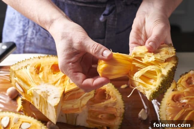 Woman pulling a pod from a jackfruit slice.