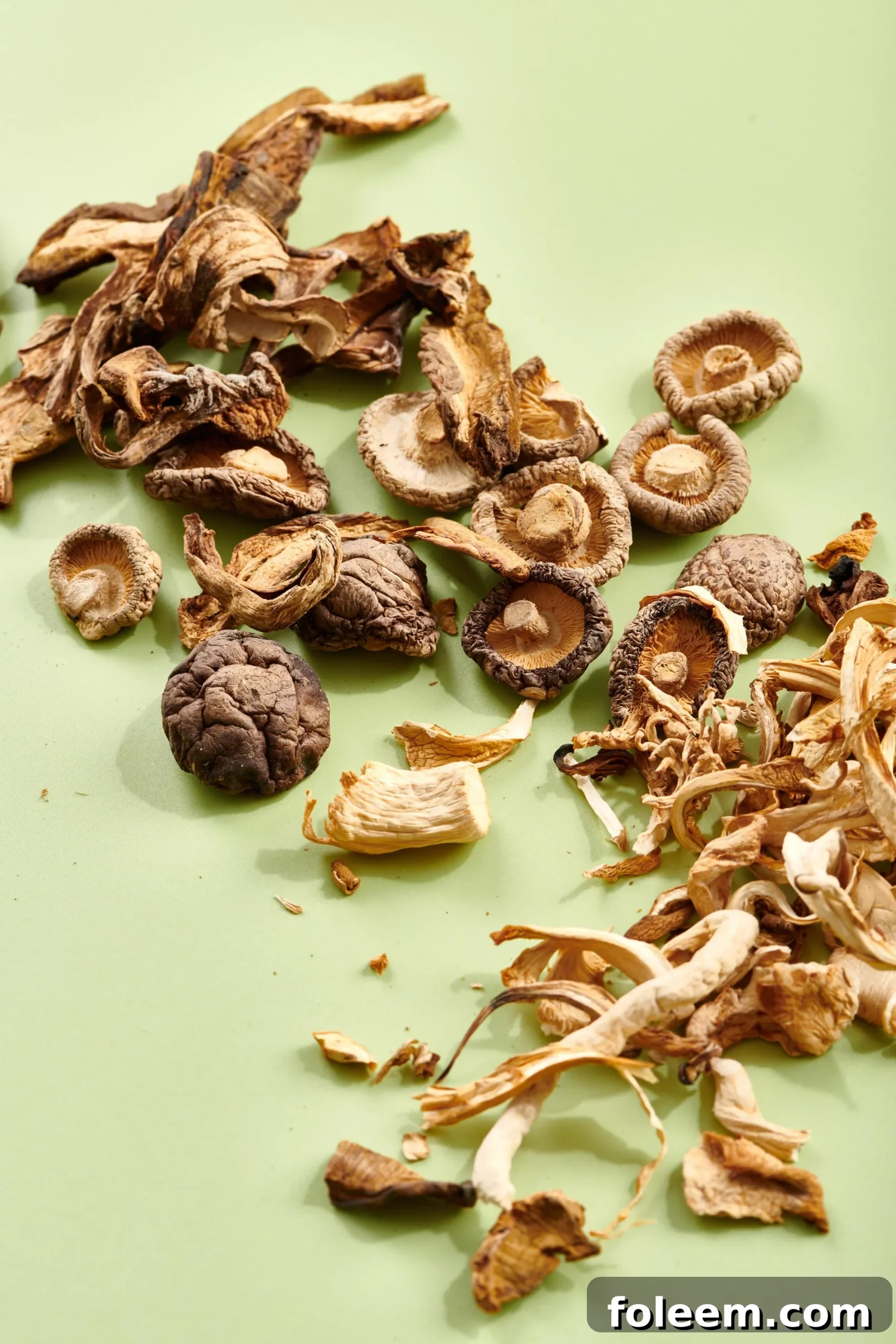 Various dried mushrooms on a pale green background.