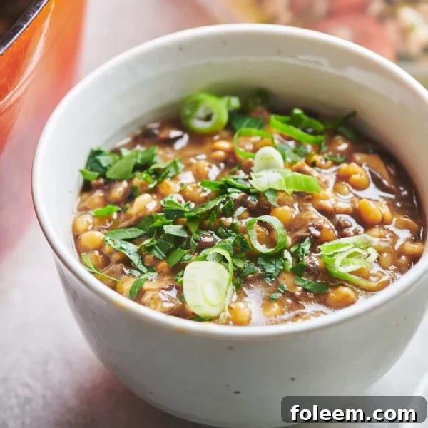 Bowl of Mushroom Barley Soup topped with green onions.