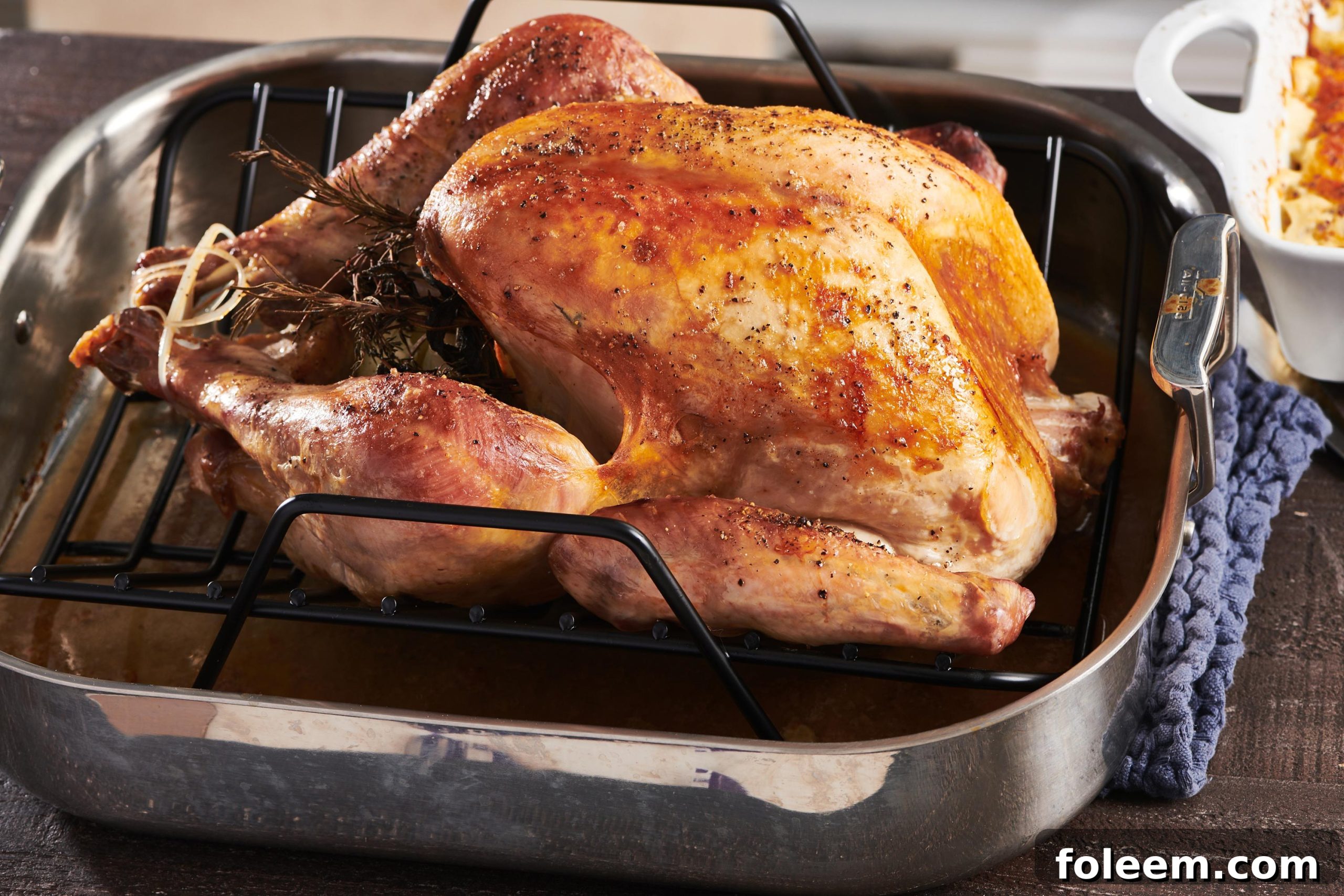 Easy Roasted Thanksgiving Turkey in roasting pan.