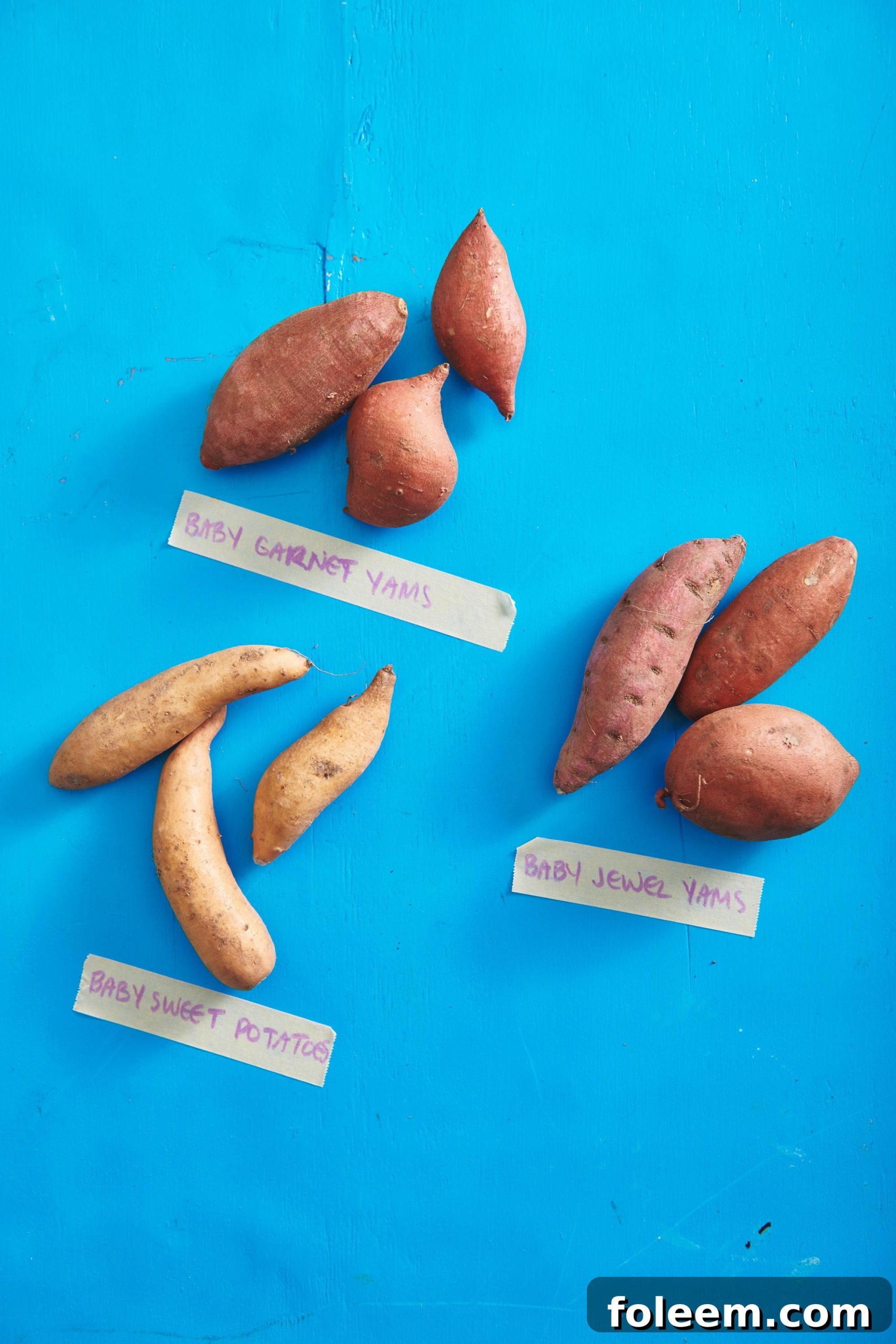 Several varieties of baby sweet potatoes on a bright blue surface.