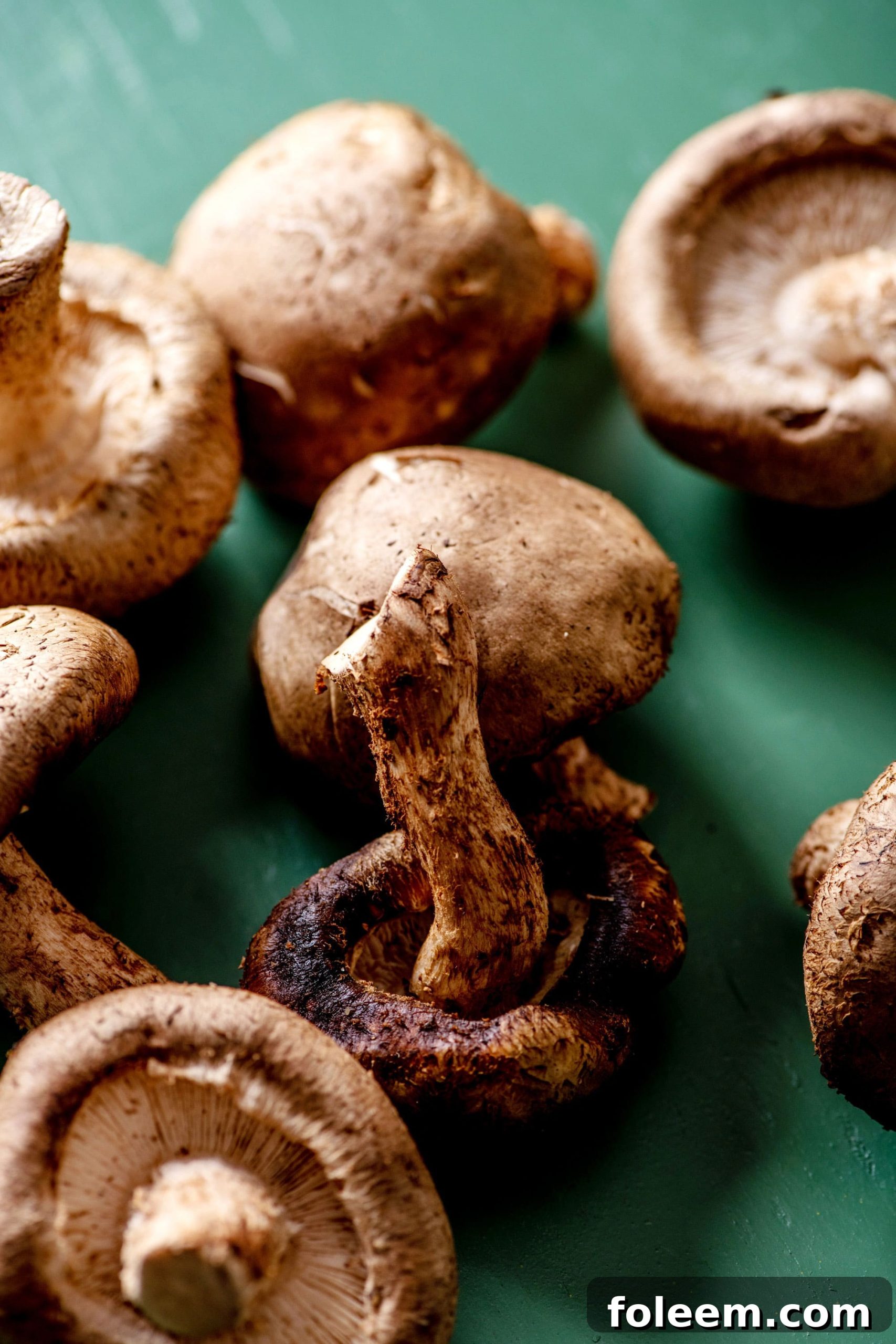 Shiitake Mushrooms on green table.