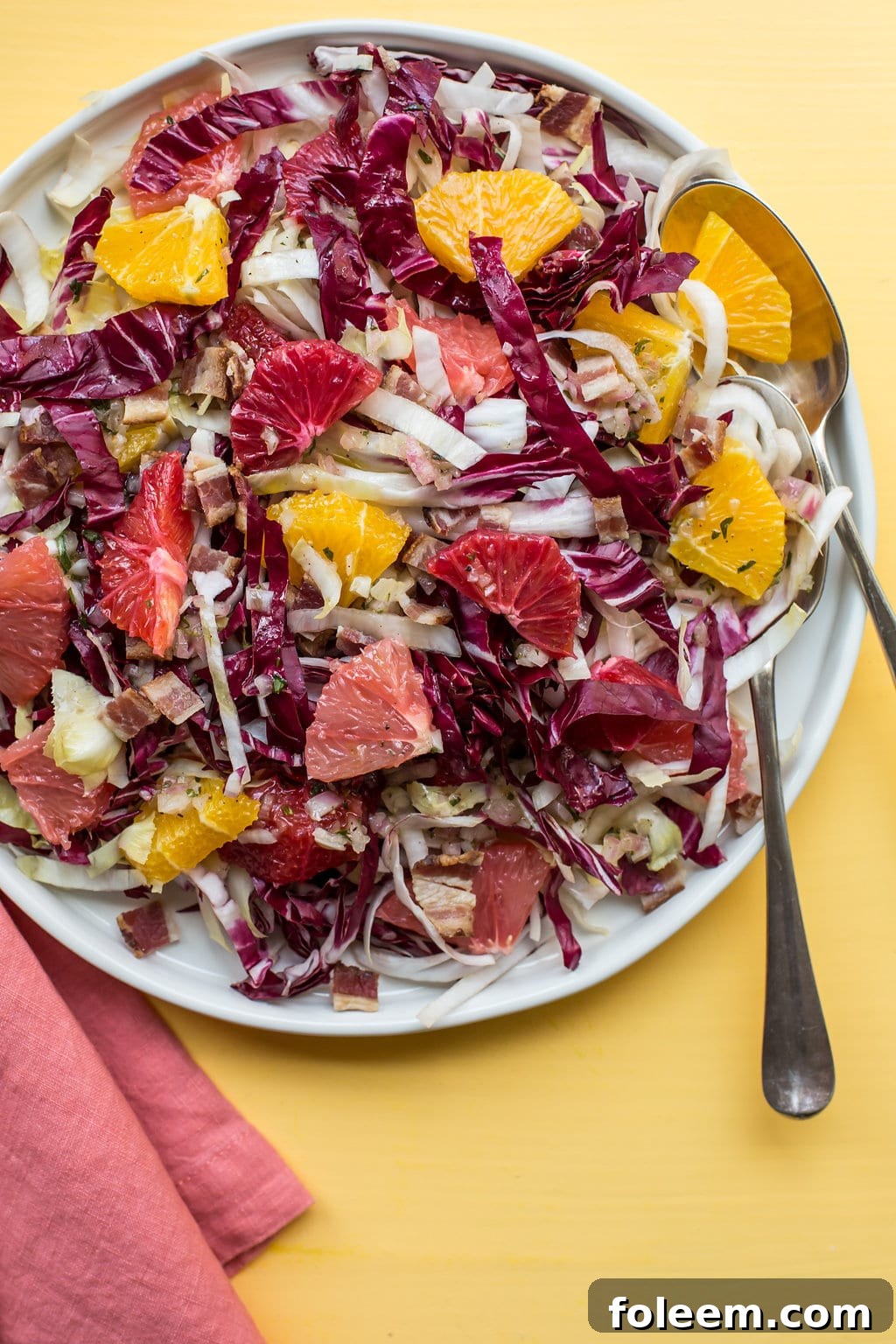 Endive, Radicchio and Citrus Salad with Bacon Vinaigrette on white plate.