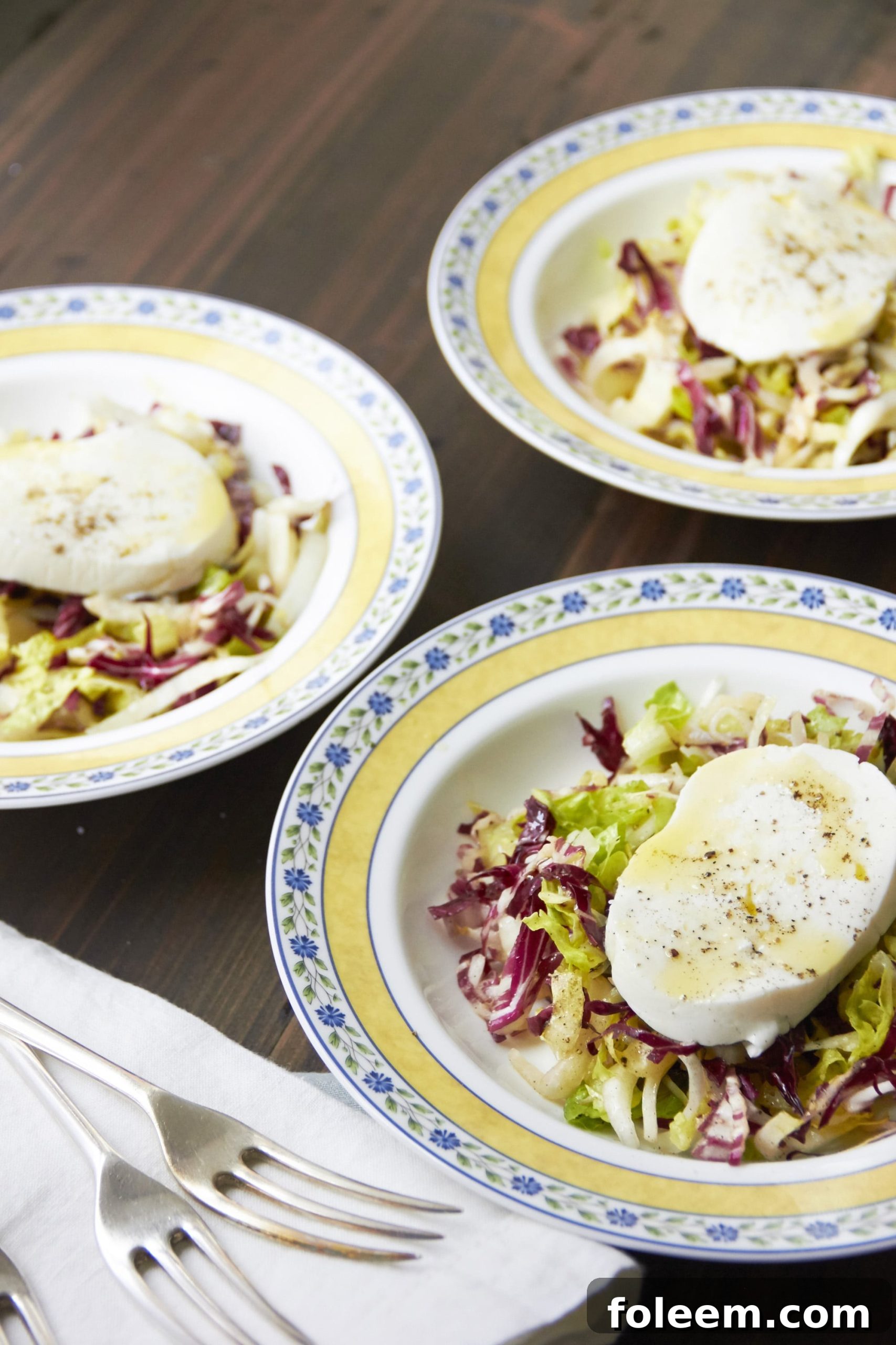 Endive and Radicchio Salad with Fresh Mozzarella on colorful plates.