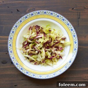 Radicchio salad in colorful bowl.
