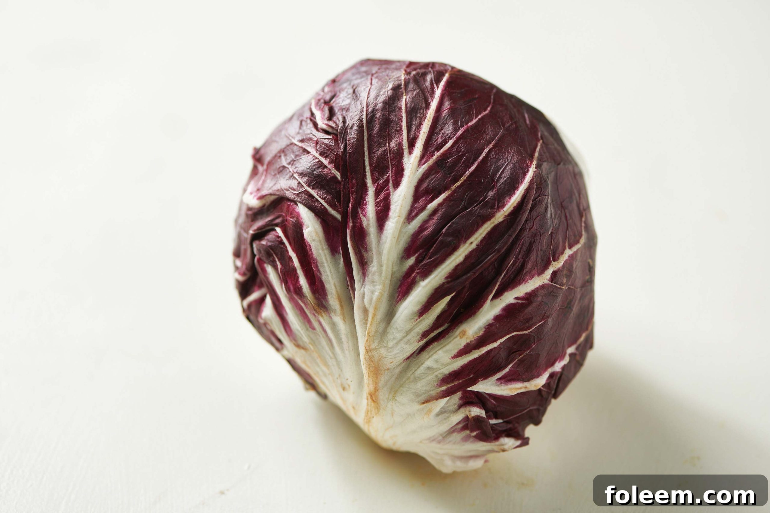 Italian radicchio head on white table.