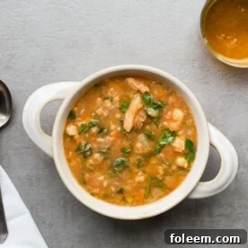Red Lentil, Fennel and Chicken Slow Cooker Soup