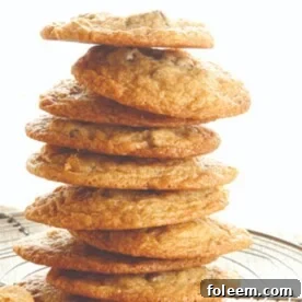 Stack of Chocolate Chunk Cookies