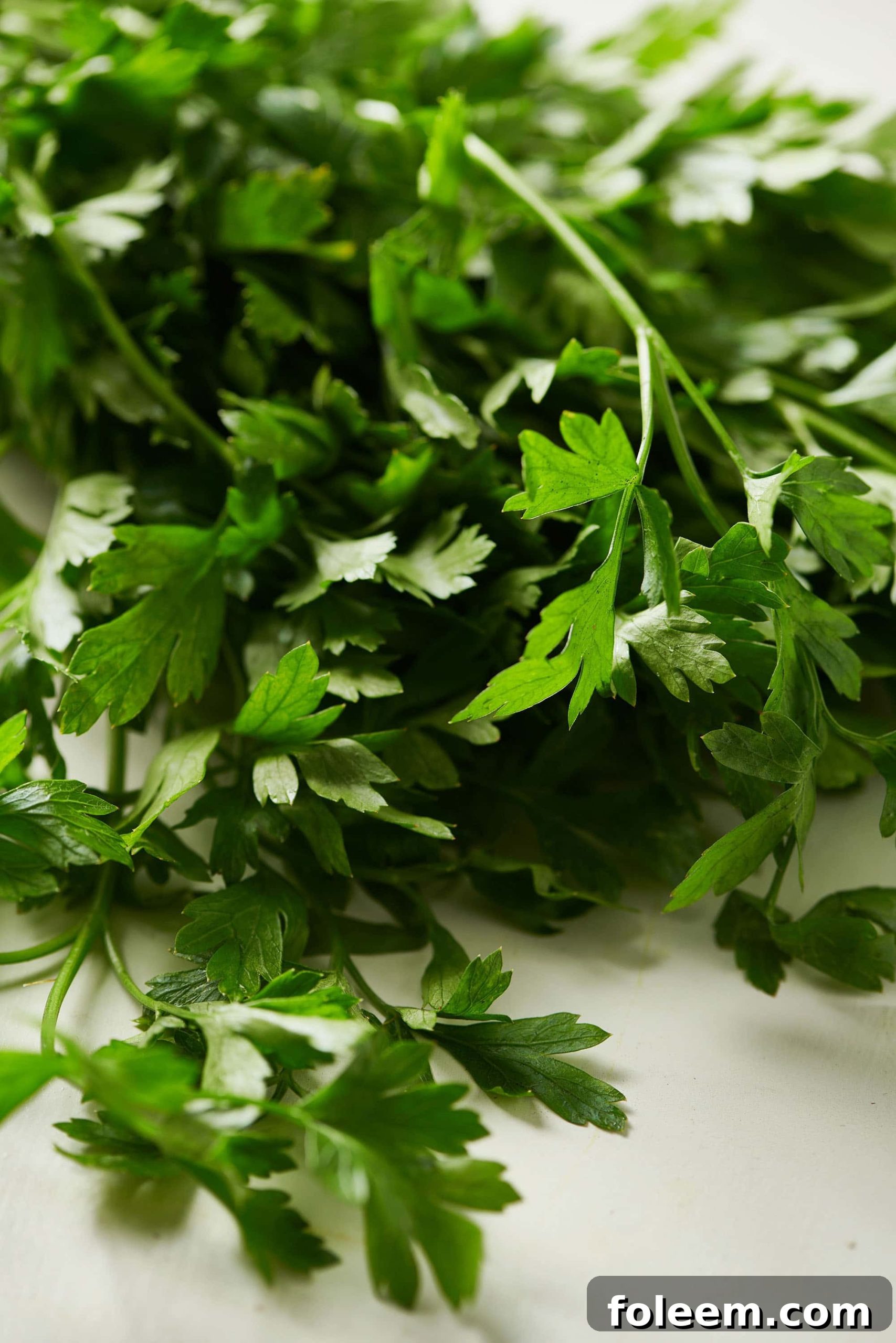 Bundle of fresh flat-leaf parsley on white surface.