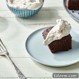 Piece of Gingerbread Cake topped with whipped cream on a plate.