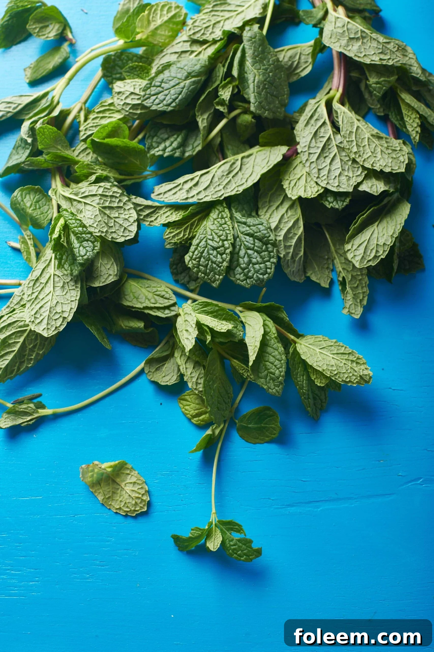 Fresh mint sprigs on blue surface.