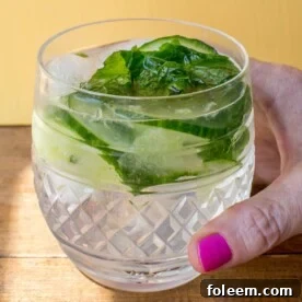 gin and tonic with mint and cucumber
