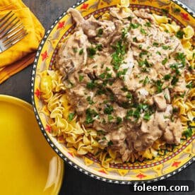 Beef Stroganoff on a bed of egg noodles.