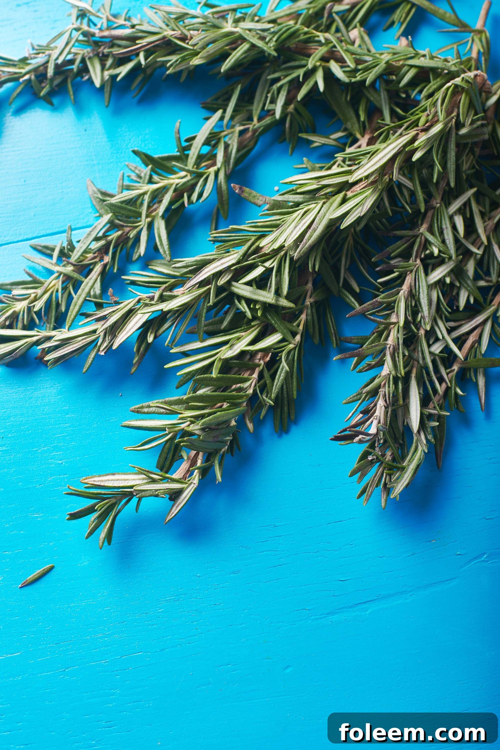 Fresh rosemary sprigs on blue table.