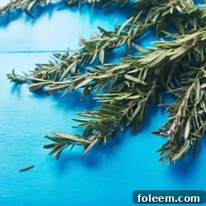 Bundle of fresh rosemary on blue table.