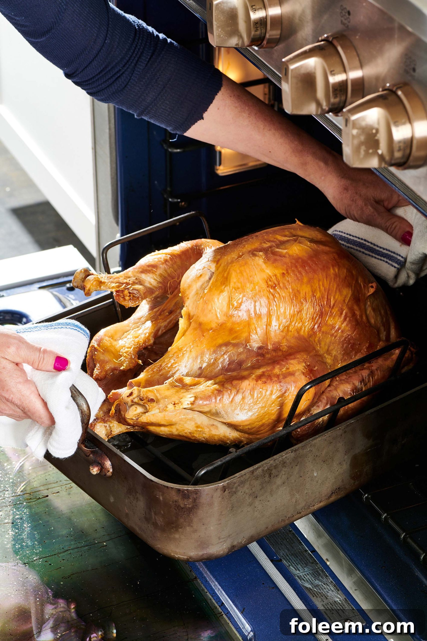 Woman removing a roasted turkey from the oven.