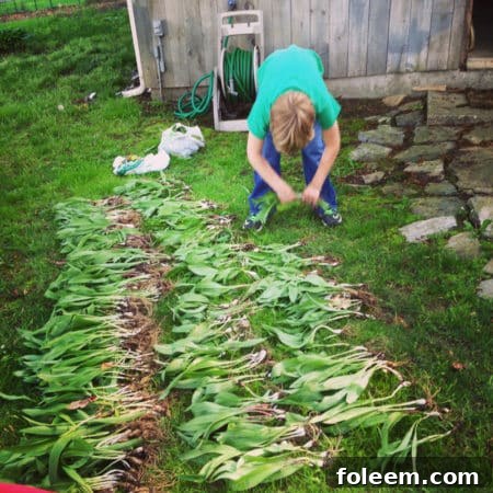 Charlie cleaning ramps