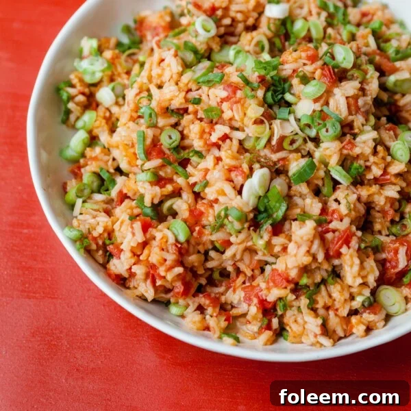 Tomato Scallion Rice