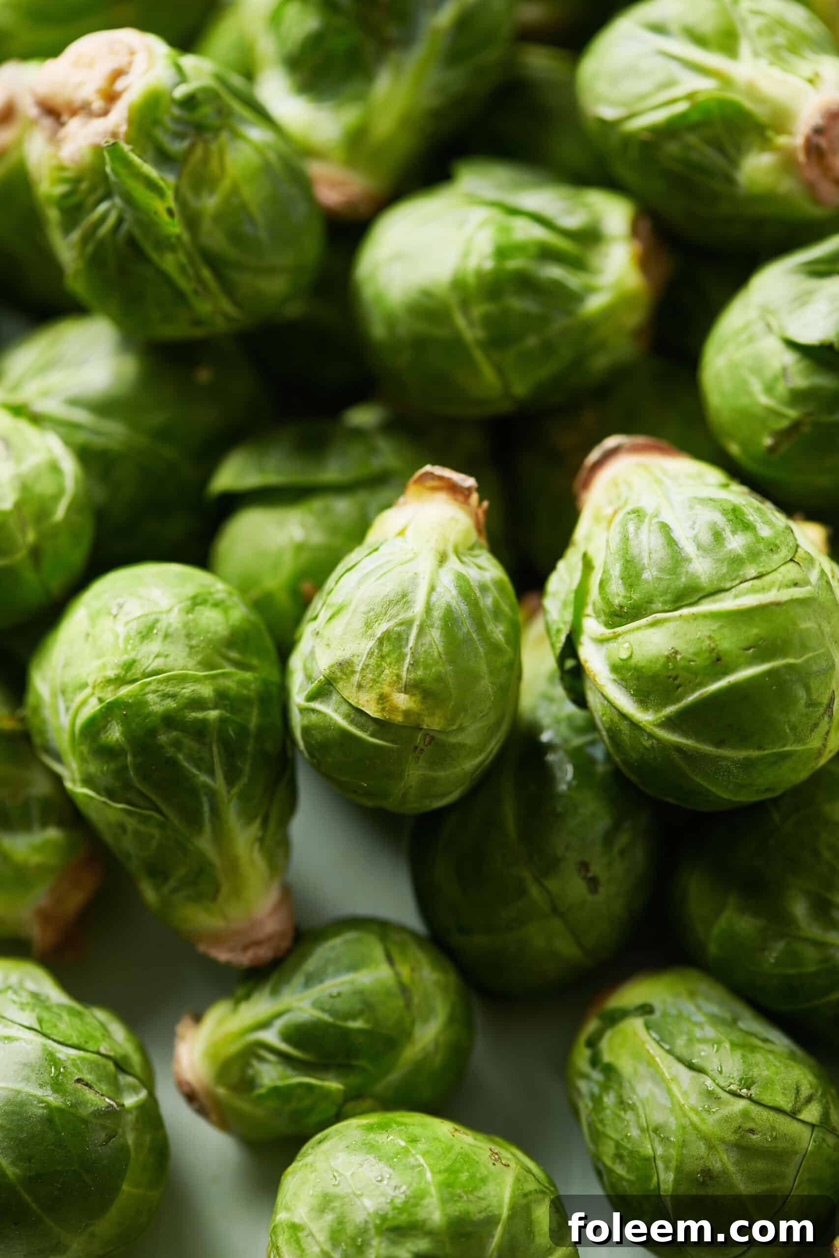 Pile of fresh Brussels sprouts.