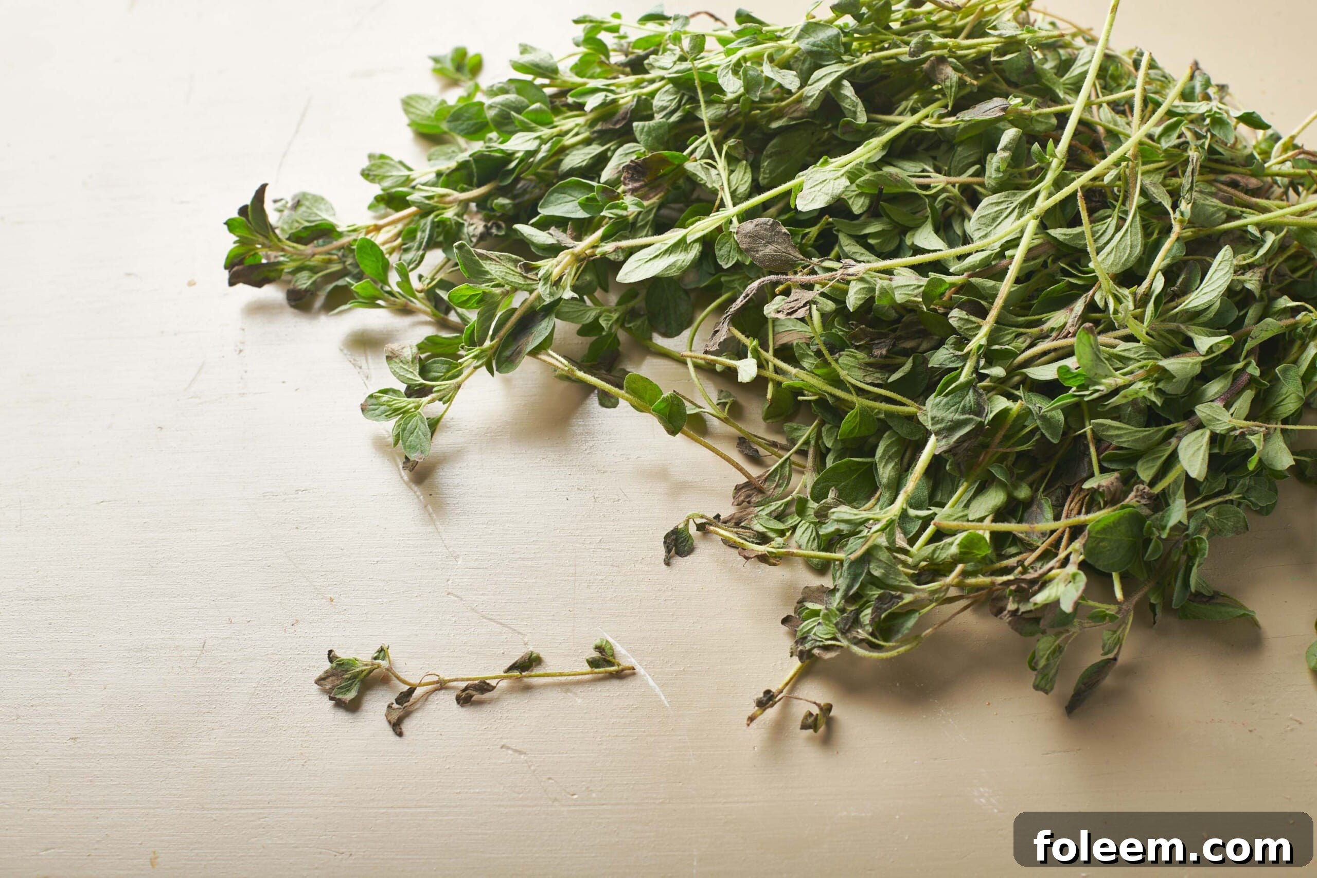 Pile of oregano leaves and stems.