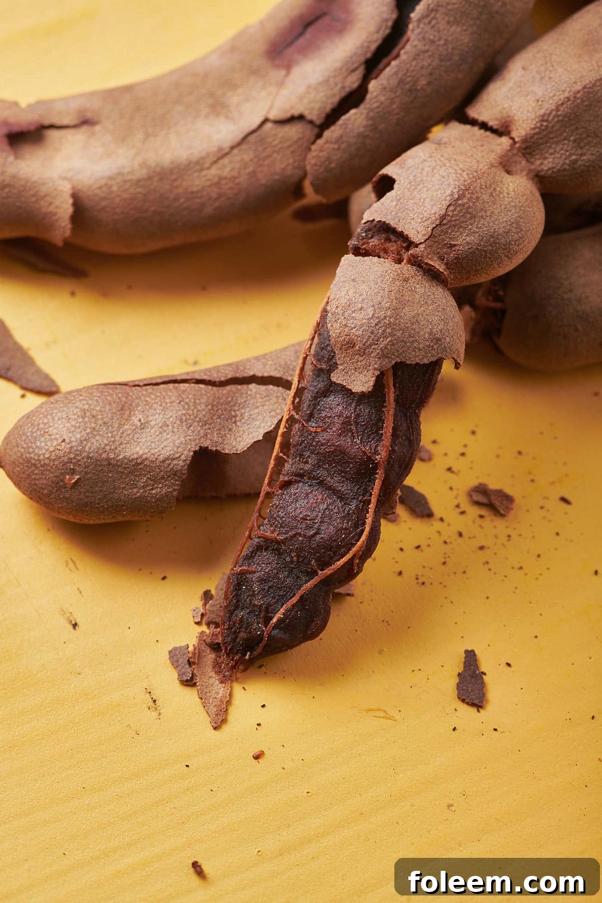 Yellow surface with tamarind pods.