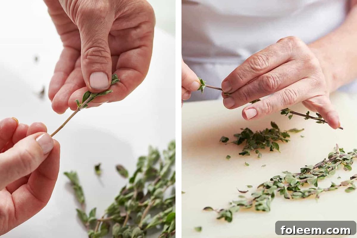 Woman removing marjoram leaves from a stem.