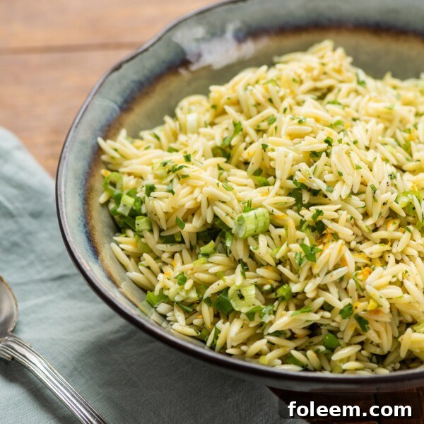 Orange and Herb Orzo / Katie Workman / themom100.com / Photo by Cheyenne Cohen