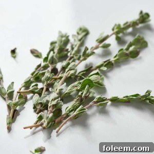Marjoram leaves still on the stem.