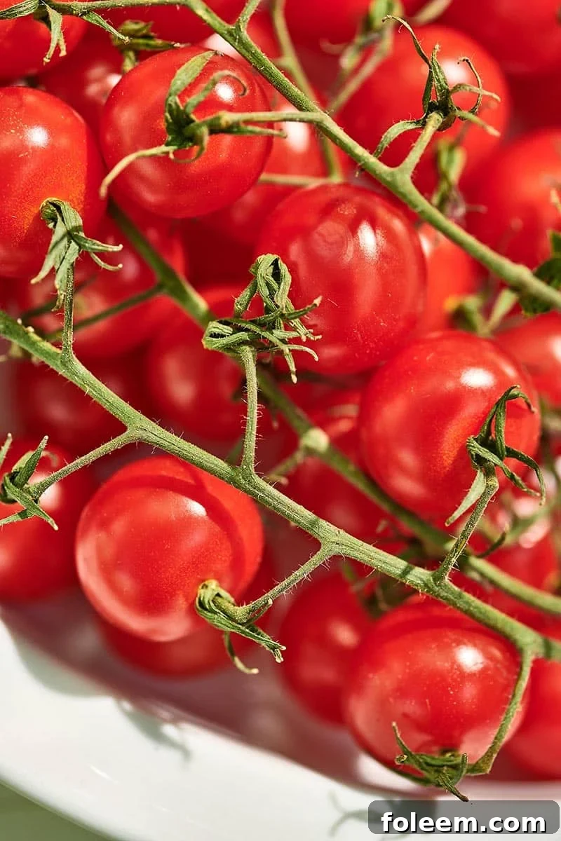 Roasted Cherry Tomatoes Recipe for Flavorful Side Dish 4 Fresh cherry tomatoes on the vine.