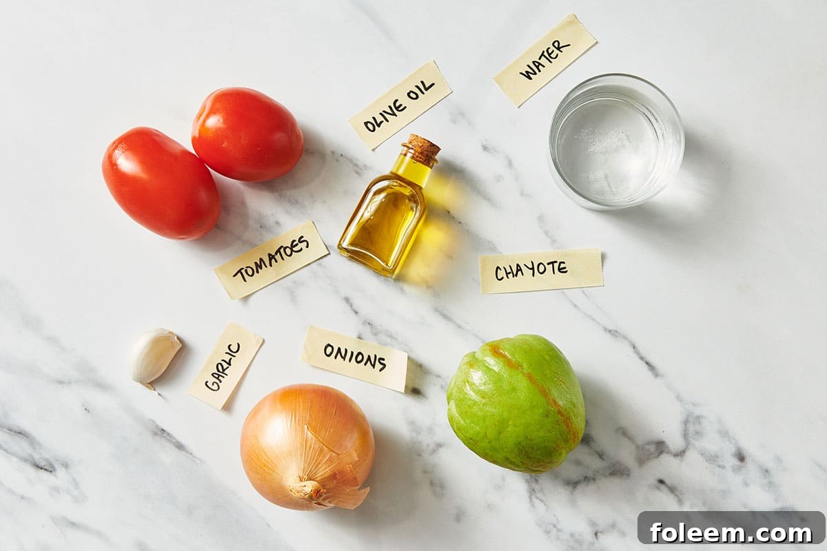 Fresh tomato, chayote, onion, and other ingredients on marble