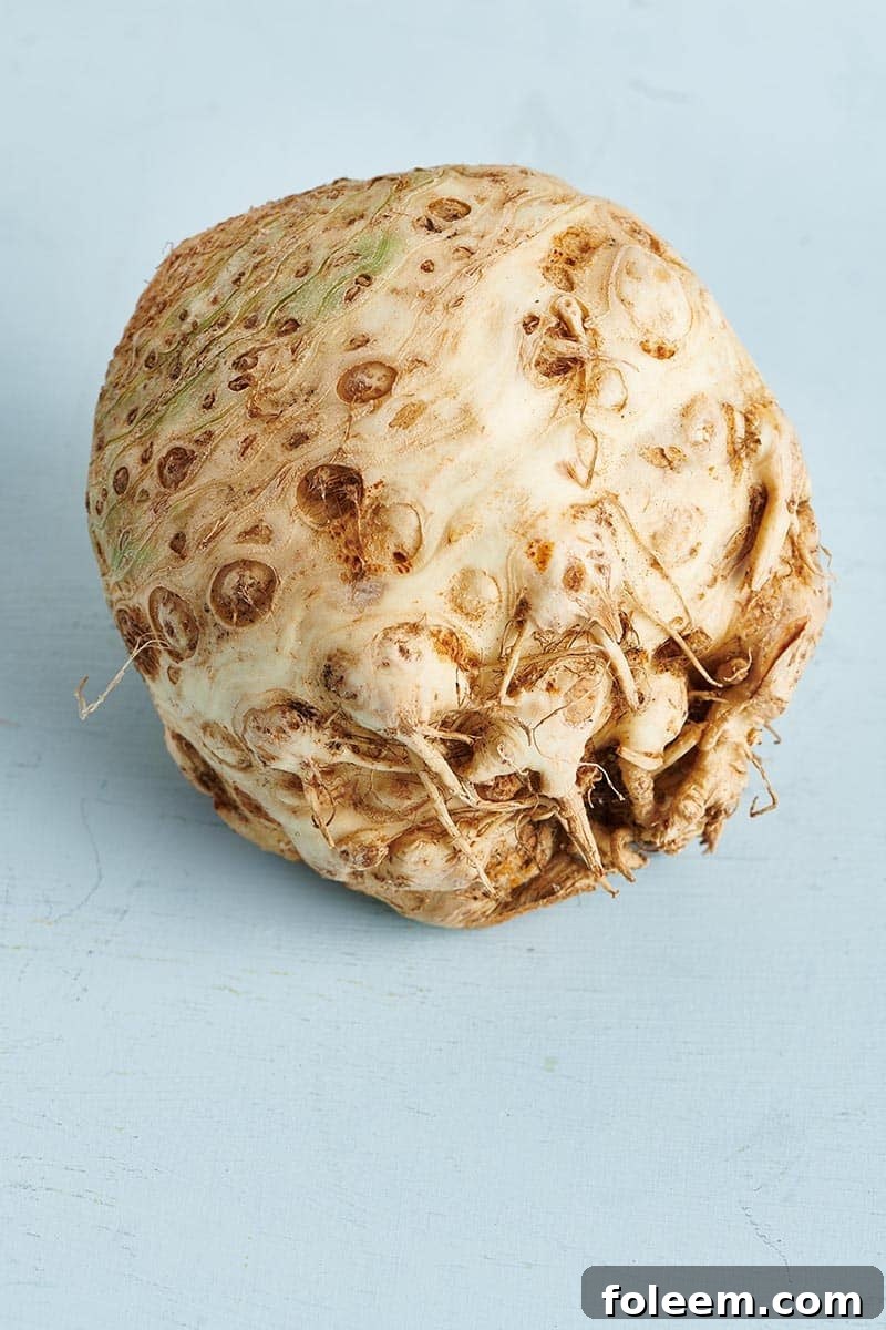 Whole Celeriac on a light blue table.