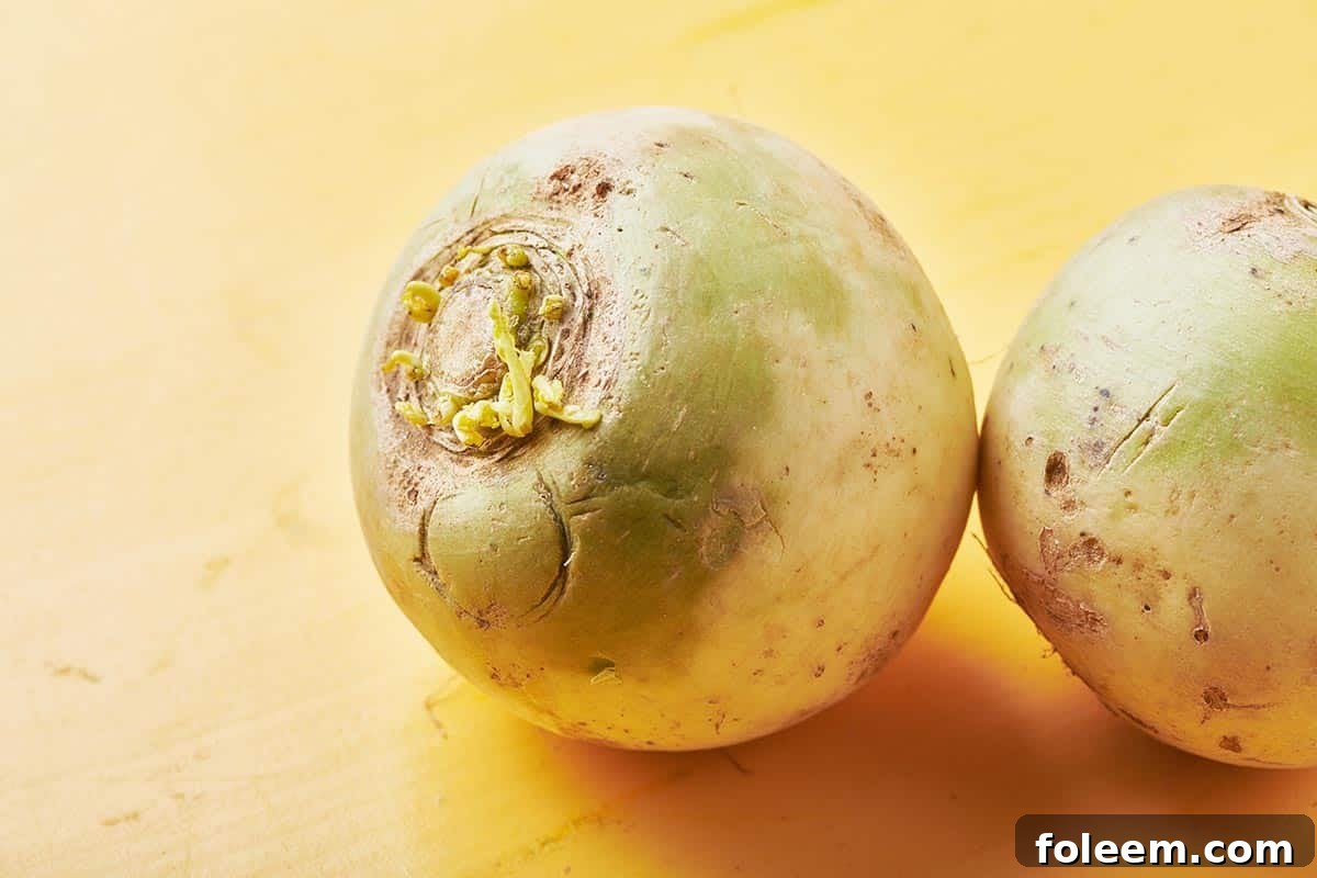 Fresh watermelon radish.
