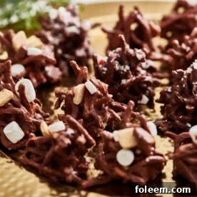 S’Mores Haystack Cookies