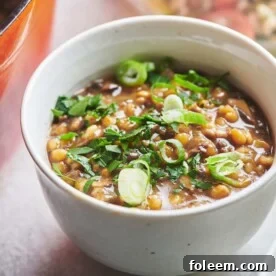 Bowl of Mushroom Barley Soup topped with green onions.