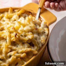 Creamy Four-Cheese Pasta