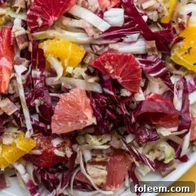 Endive, Radicchio and Citrus Salad with Bacon Vinaigrette