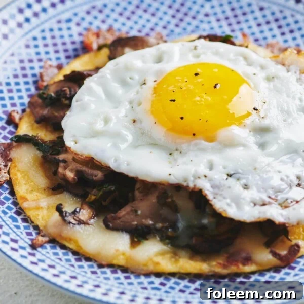 Fried Egg, Mushroom, Leek, and Cheese Tostadas