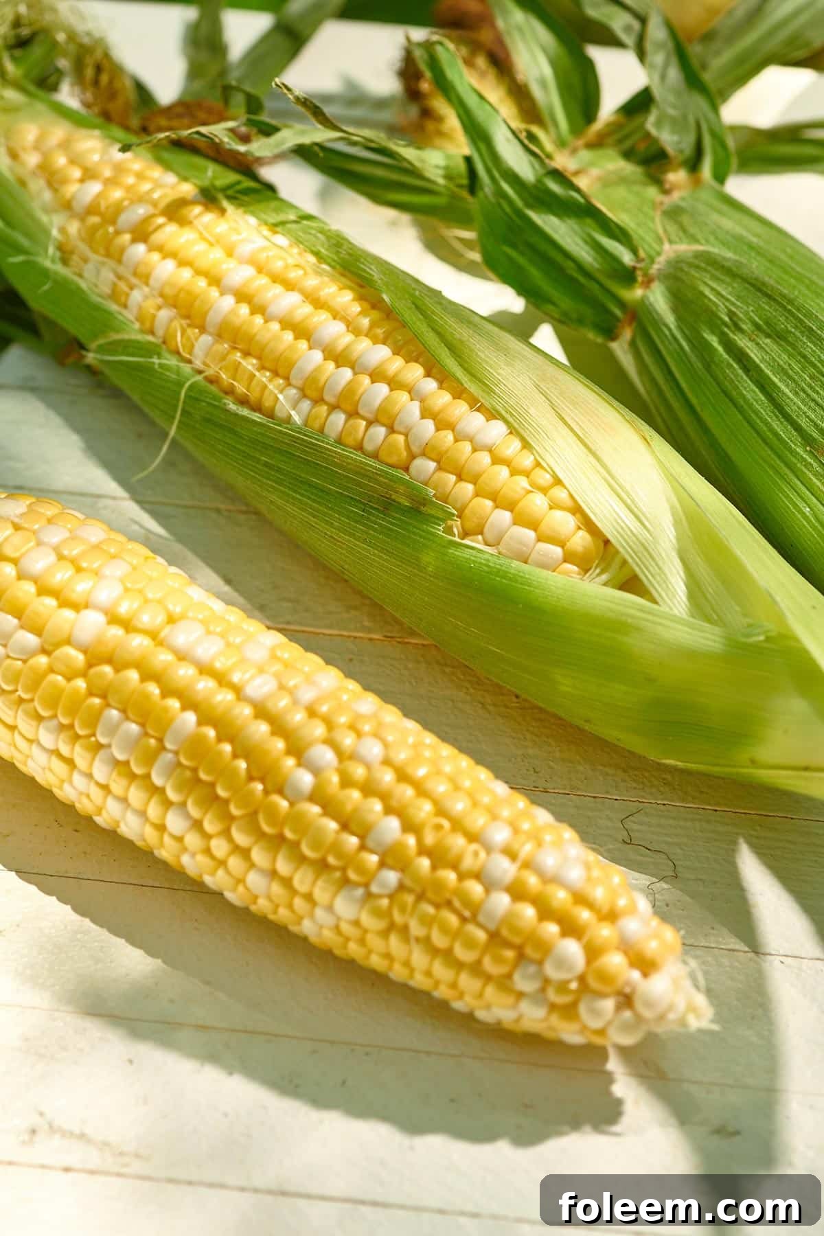 Ears of fresh sweet corn on white table.
