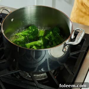 Steamed broccoli in pot on stove.