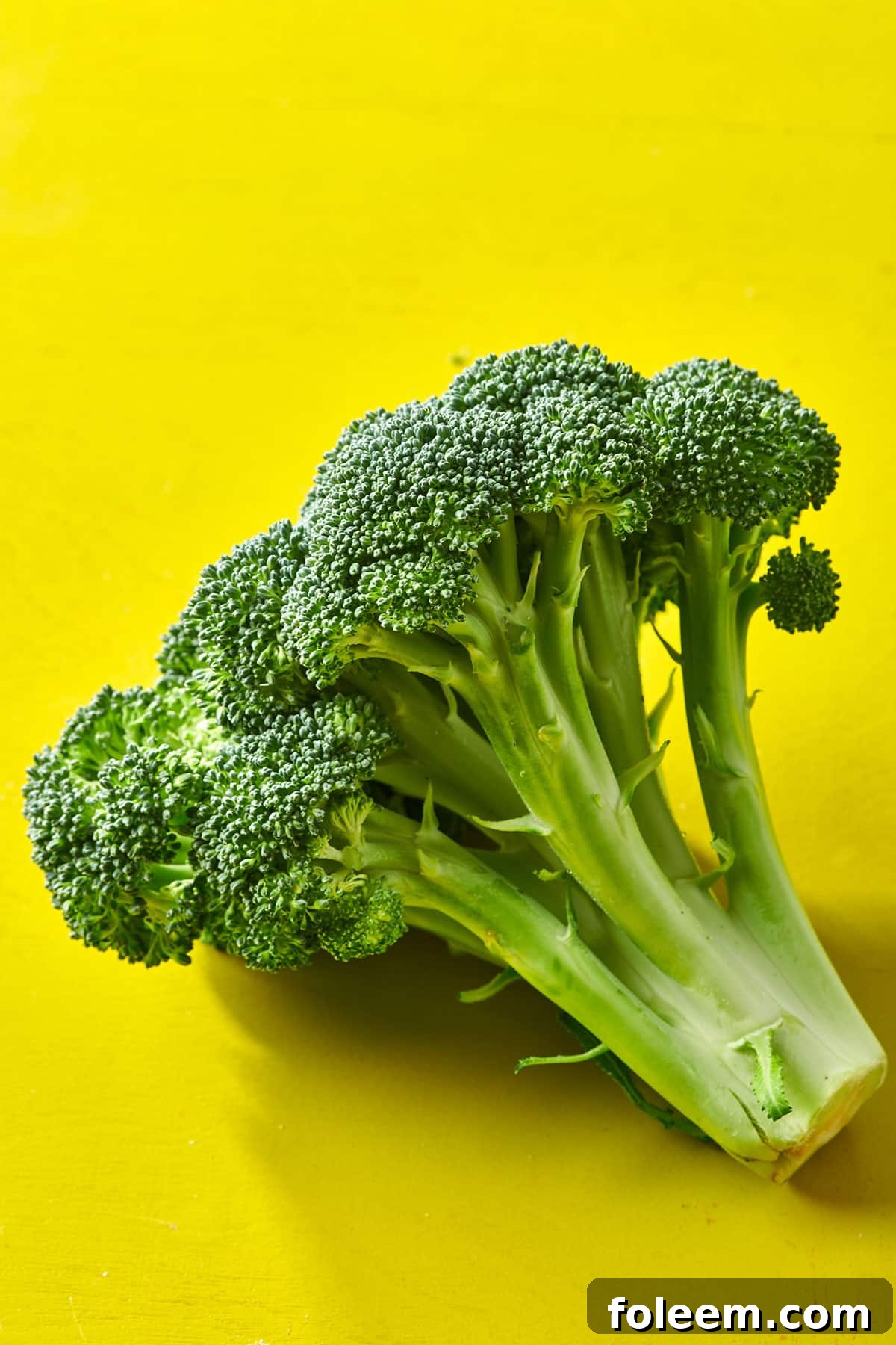 Head of fresh broccoli in yellow table.